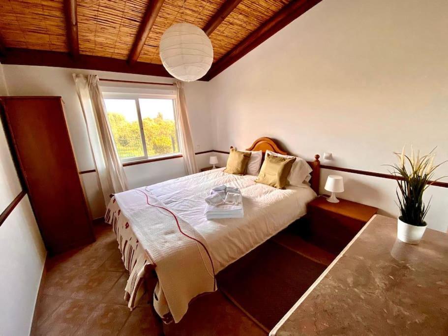 Palma'S Place Casanova Villa #Wifi#Heatedpool#Relax FAO Exterior foto